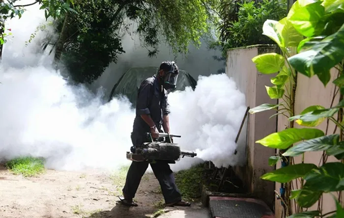 Dengue cases increase to over 50,000