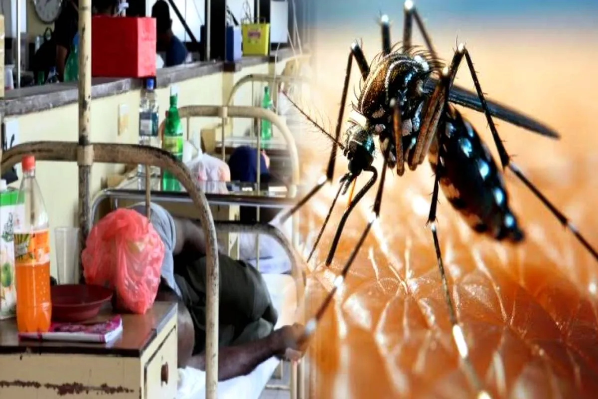 14 மாவட்டங்களில் டெங்கு நோயின் வீரியம் அதிகரிப்பு..! 50 ஆயிரத்தை தாண்டும் நோயாளர்களின் எண்ணிக்கை