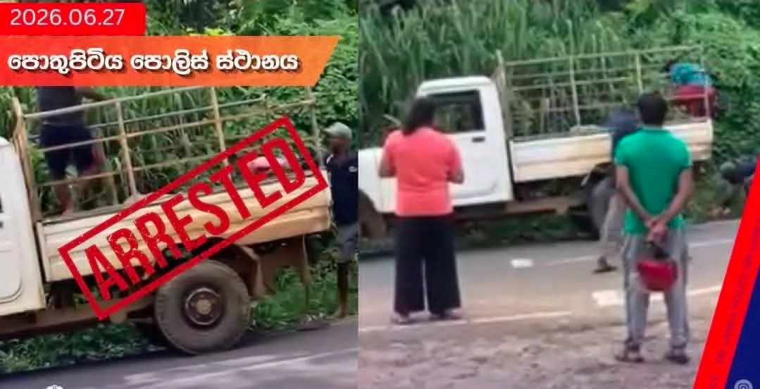 Two arrested over dog killing after 2025 viral video